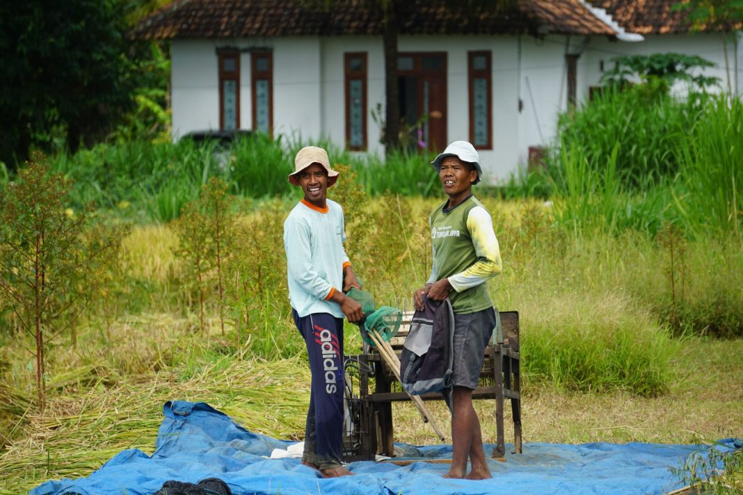 Rumah adat beratap ijuk di Kampung Todo, Manggarai, Flores.