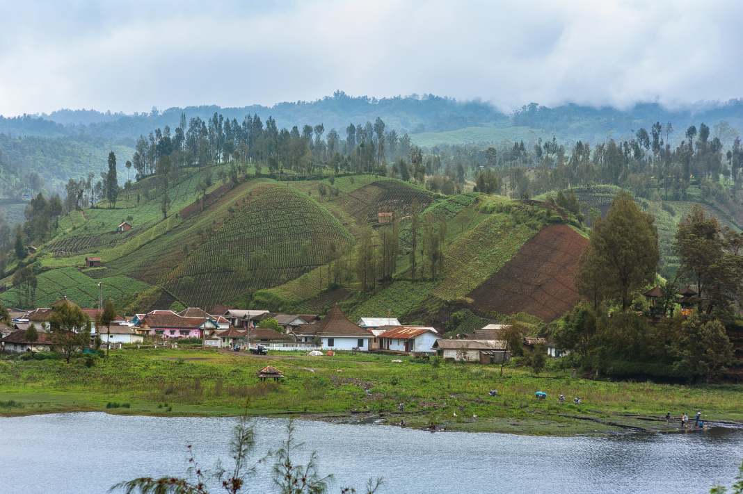 Penari Caci Manggarai membawa cambuk rotan dan perisai kayu dalam pertunjukan tradisional di Flores, NTT