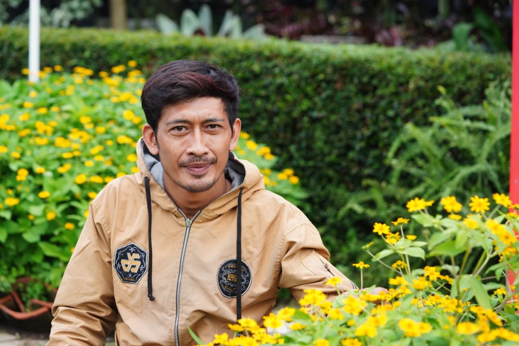 Bukit Waririnding berkabut dengan pohon kenari di Manggarai, NTT
