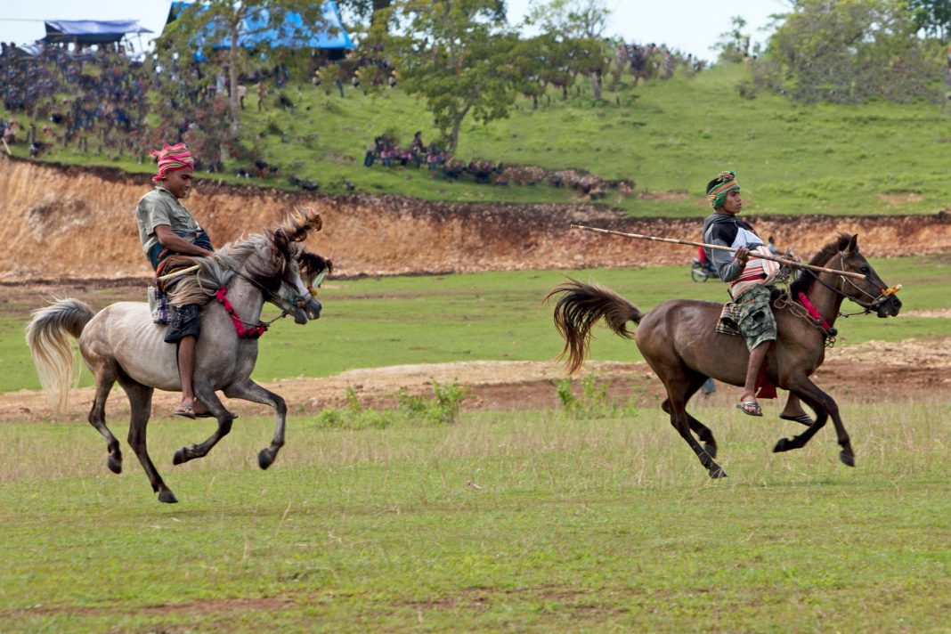 Penunggang kuda Sumba dalam ritual perang tombak tradisional Pasola