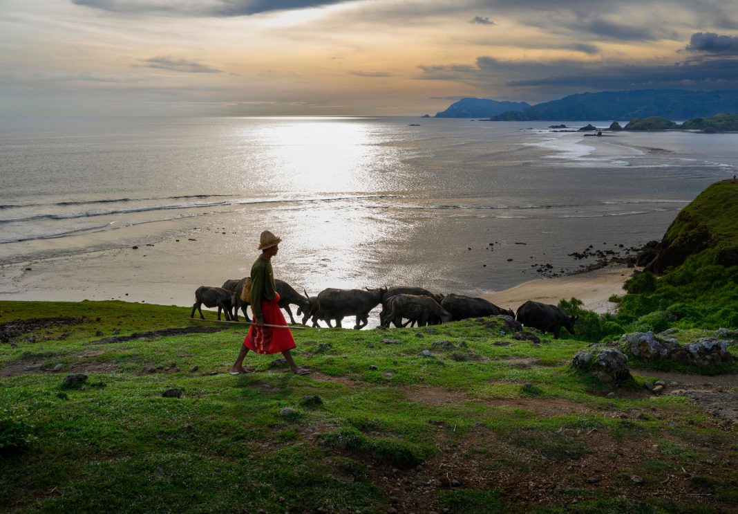 Pemandangan air Danau Weekuri yang berwarna turquoise di Sumba Barat Daya
